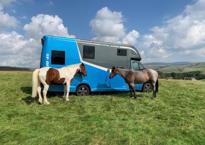 Aeos Hybrid and two horses at Settle