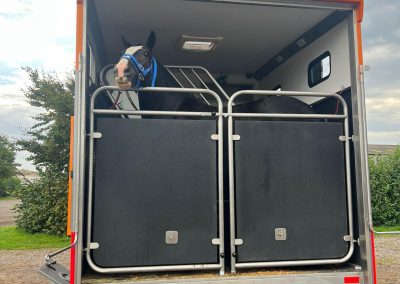 Helios Compact 75 with horse loaded